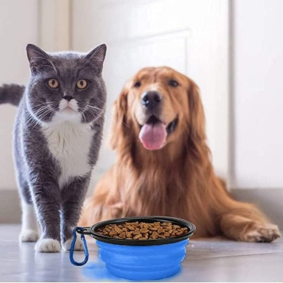 Gamelle pour Chien - SiliconeDogBowl™ - Bleu