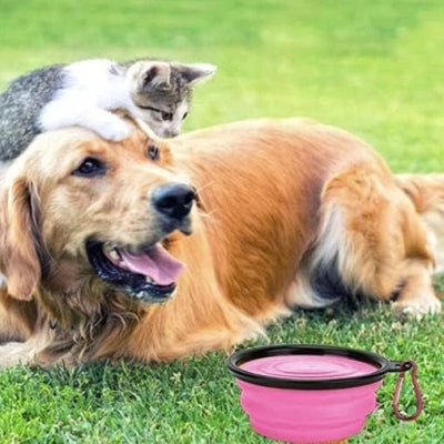 Gamelle pour Chien - SiliconeDogBowl™ - Pourpre