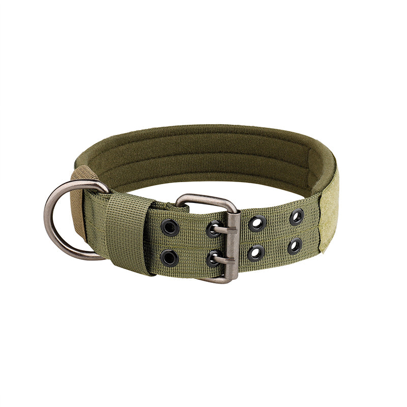 Collier chien | Durable & Élégant