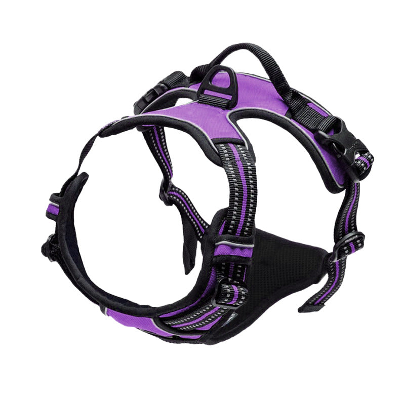 Dog Harness | Comfort & Safety