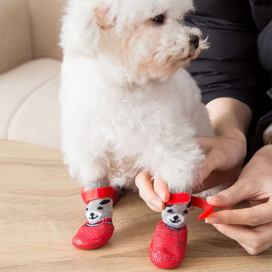 Chaussures pour chien