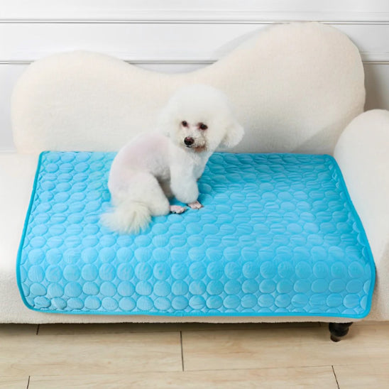 Tapis pour chien