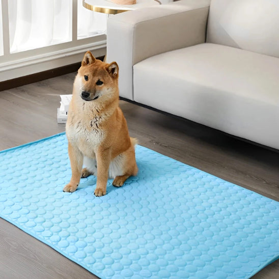 Tapis pour chien