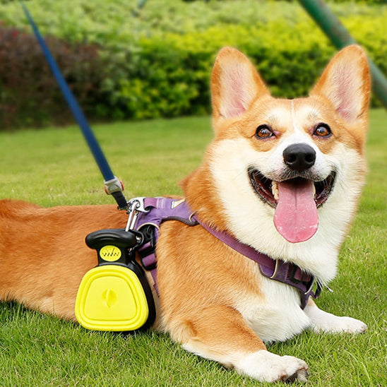 Ramasse crottes chien