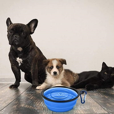 Gamelle pour Chien - SiliconeDogBowl™ - Bleu