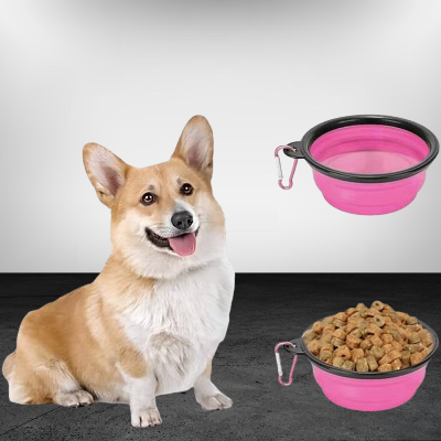 Gamelle pour Chien - SiliconeDogBowl™ - Pourpre