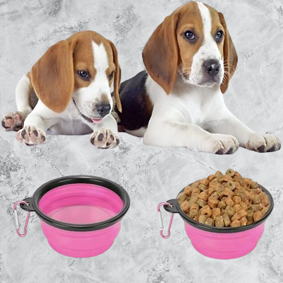 Gamelle pour Chien - SiliconeDogBowl™ - Pourpre