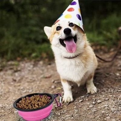 Gamelle pour Chien - SiliconeDogBowl™ - Pourpre