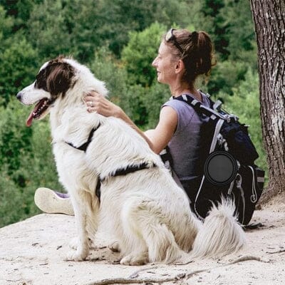 Gamelle pour Chien - SiliconeDogBowl™  - Noir