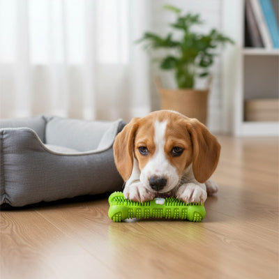 Brosse à Dents pour Chien - Hygiène Dentaire Efficace | HygièneCanine
