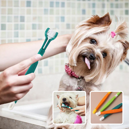 Brosse Dent Chien Triple Tête - Nettoyage Complet 30s | DentaFresh