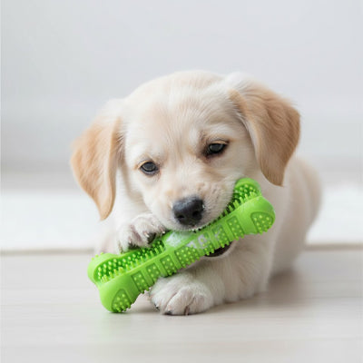 Brosse à Dents pour Chien - Hygiène Dentaire Efficace | HygièneCanine