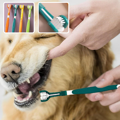 Brosse Dent Chien Triple Tête - Nettoyage Complet 30s | DentaFresh