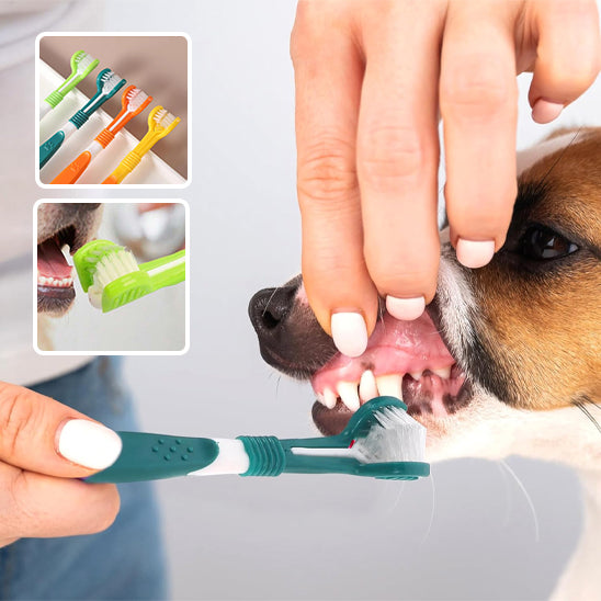 Brosse Dent Chien Triple Tête - Nettoyage Complet 30s | DentaFresh
