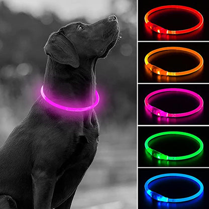 Collier lumineux chien | Visibilité 500m