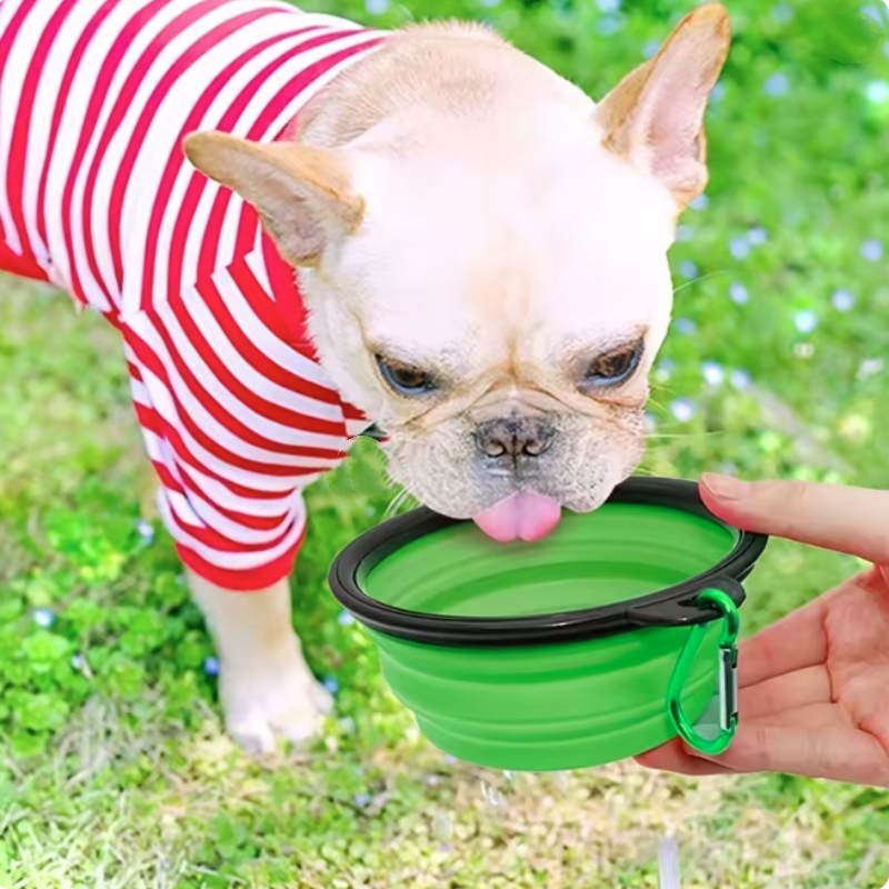 Dog Bowl - SiliconeDogBowl™