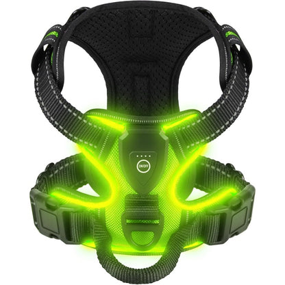 Rechargeable LED Light-Up Dog Harness – Night Visibility