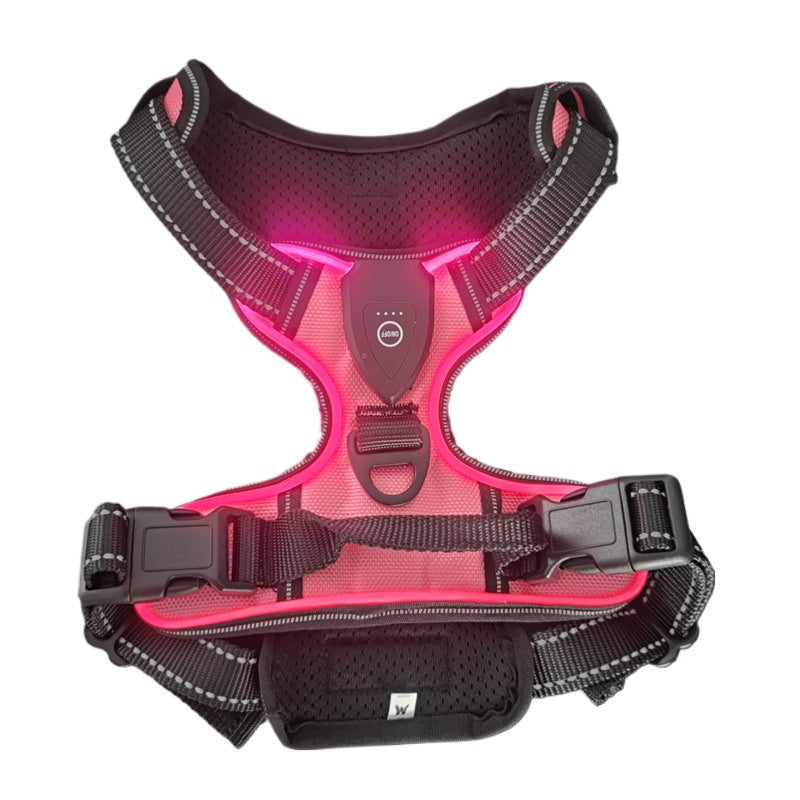 Rechargeable LED Light-Up Dog Harness – Night Visibility