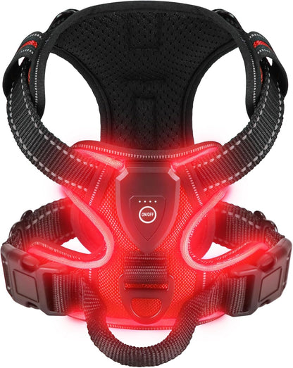 Rechargeable LED Light-Up Dog Harness – Night Visibility