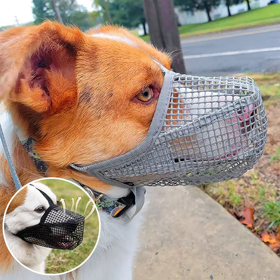 Muselière chien | ComfortSecure