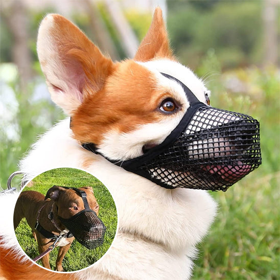 Muselière chien | ComfortSecure