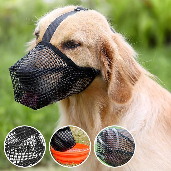 Muselière chien | ComfortSecure