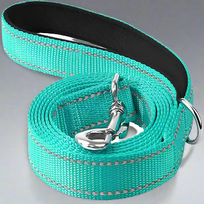 Collier Chien - DogsHarnessCollar™ - Cyan