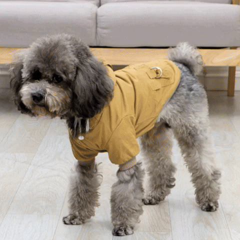 Manteau Hivernal Imperméable pour Chien Thermique Ajustable | Premium