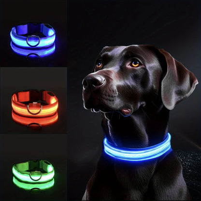 Colliers lumineux pour chiens | NightSafe