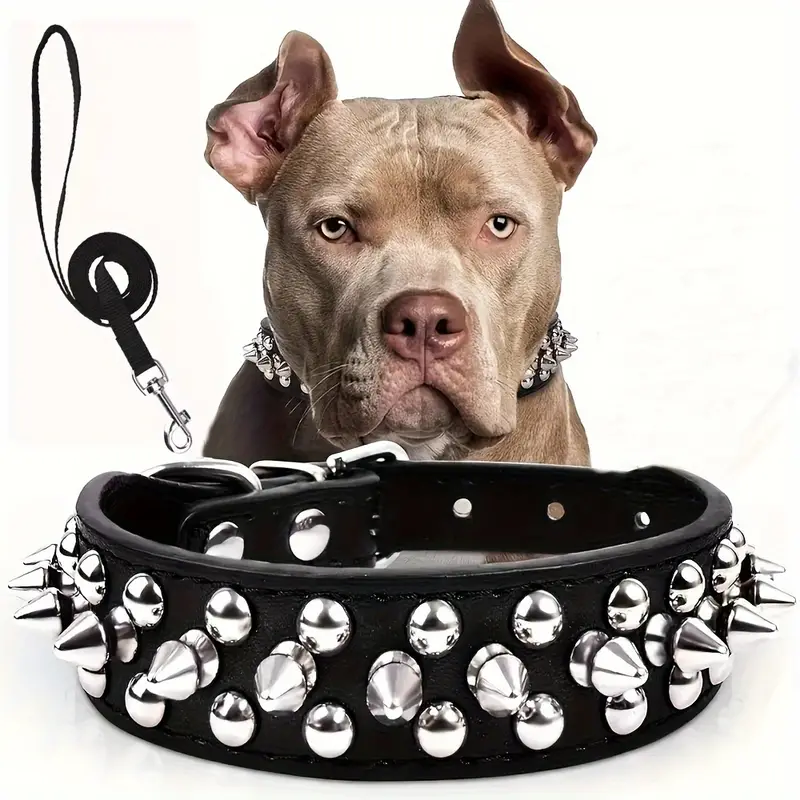 Collier pour chien | Élégance Durable