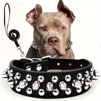 Collier pour chien | Élégance Durable