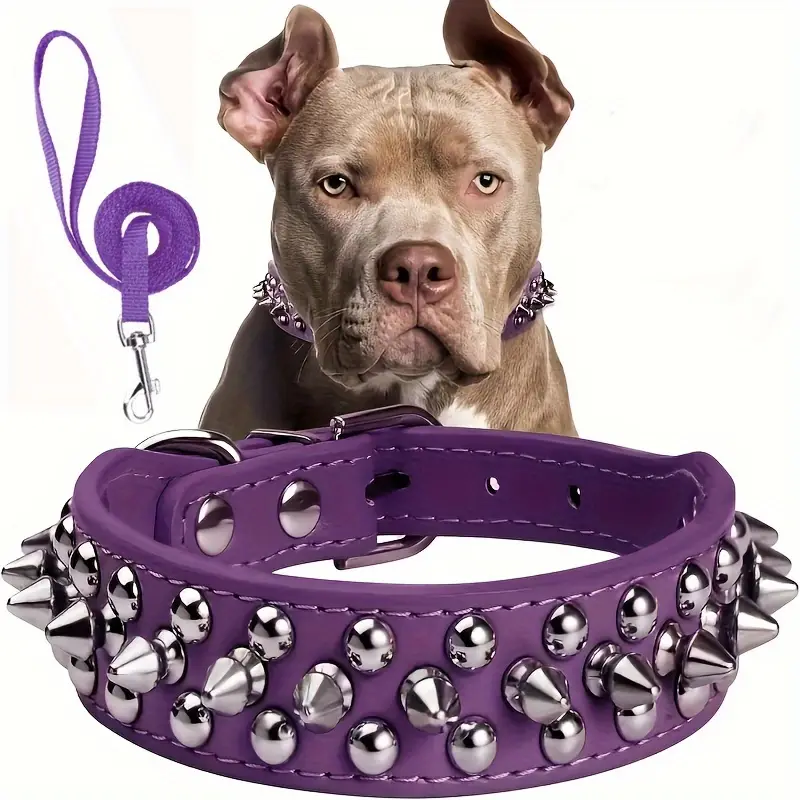 Collier pour chien | Élégance Durable