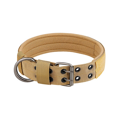 Collier chien | Durable & Élégant