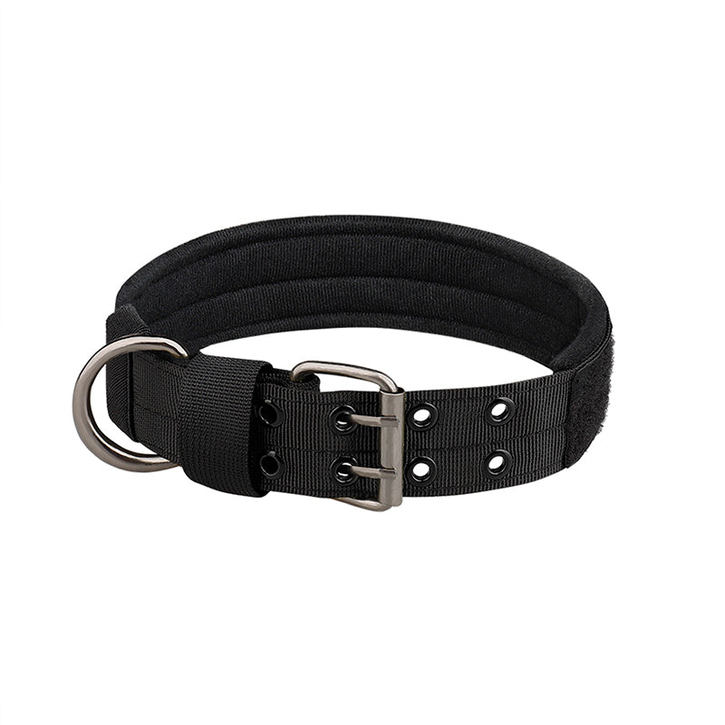 Collier chien | Durable & Élégant