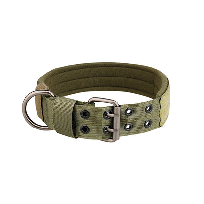 Collier chien | Durable & Élégant