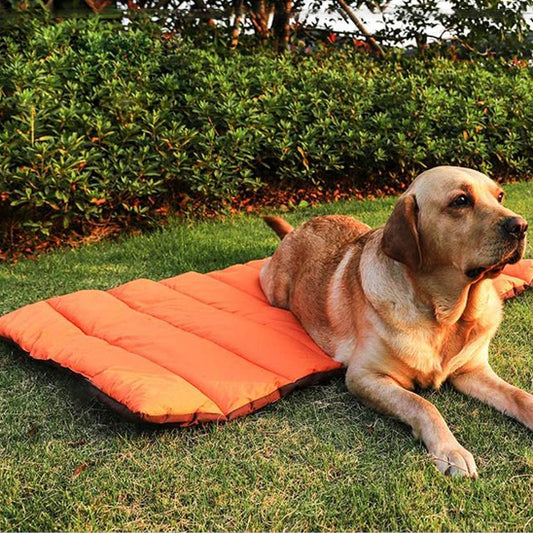 Tapis pour chien