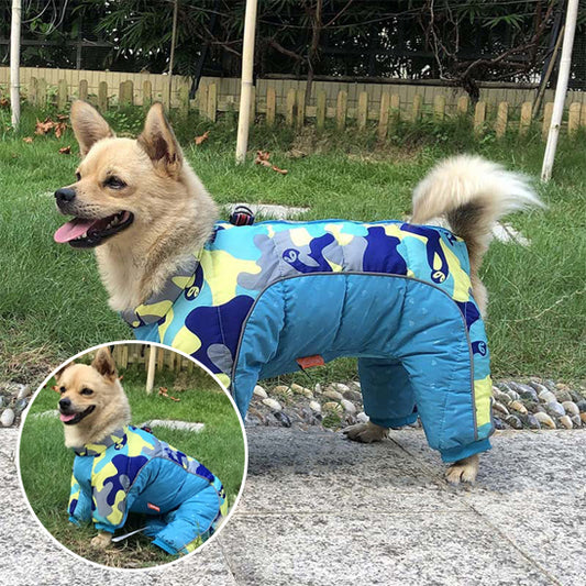 Manteau pour chien