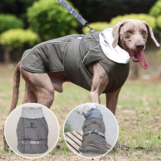 Manteau pour chien