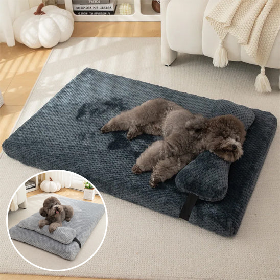 Orthopedic dog cushion - comfortable and soft pain-relieving bed | PainFree