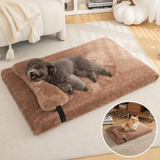Orthopedic dog cushion - comfortable and soft pain-relieving bed | PainFree
