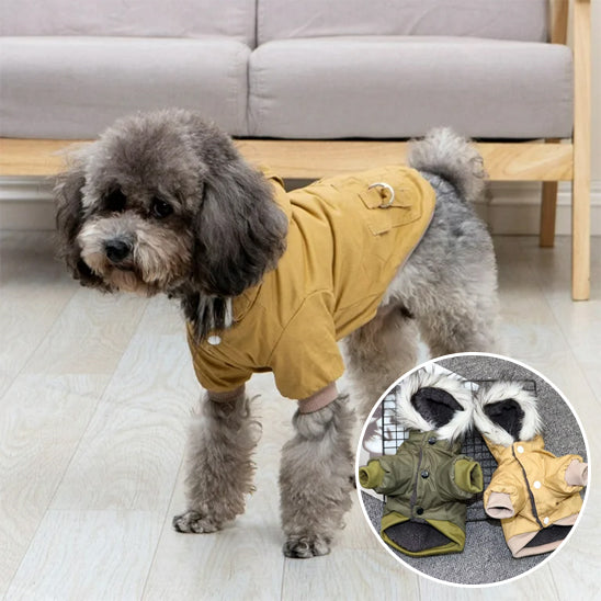 Manteau Hivernal Imperméable pour Chien Thermique Ajustable | Premium