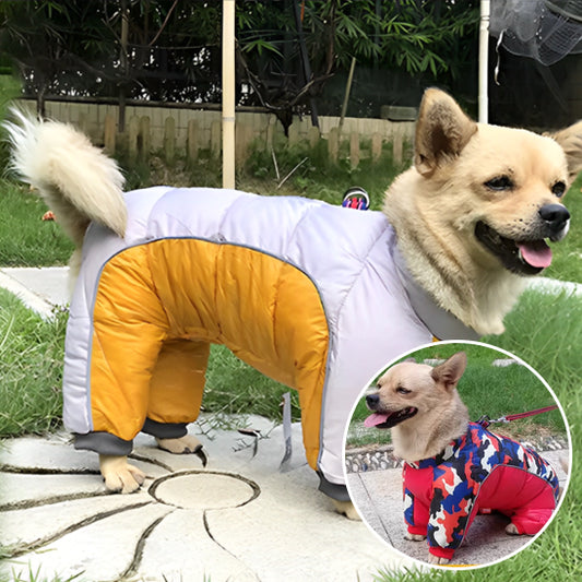 Manteau hiver pour chien | UltraTherm