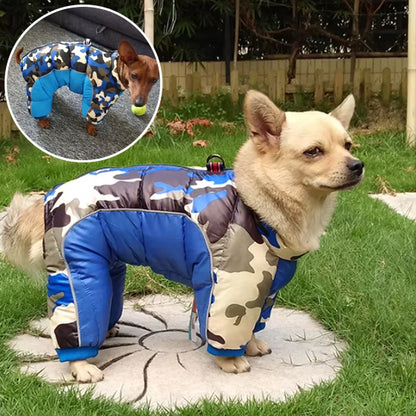 Winter coat for dogs | UltraTherm