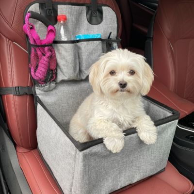 Siège auto chien sécurisé - Rehausseur voiture chien confort | PetGuard